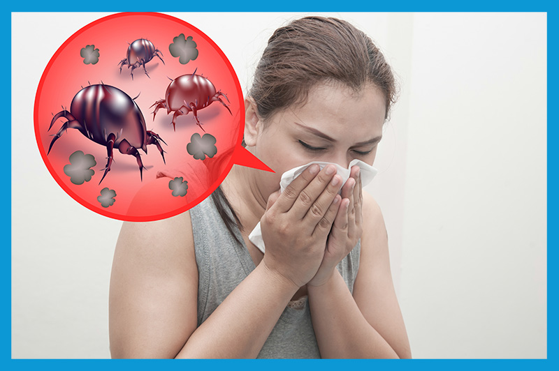 Comment savoir qu’on a des acariens dans sa maison ?