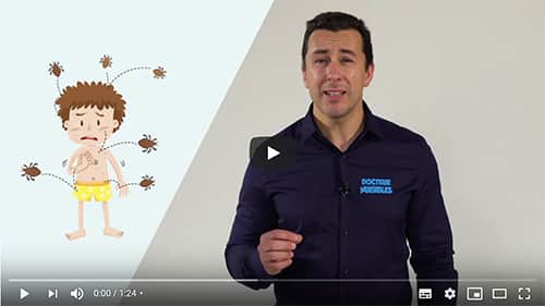 video sur l'extermination des punaises de lit