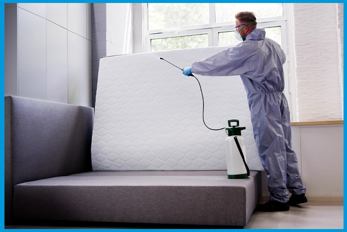 Traitement professionnel pour éliminer les punaises de lit