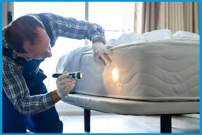 Inspection d'un matelas avec une lampe torche pour détecter des punaises de lit