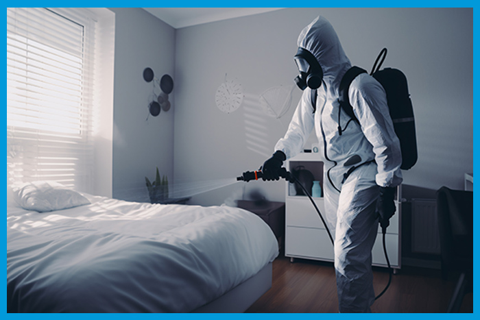 Expert en désinsectisation spécialisé dans la lutte contre les punaises de lit