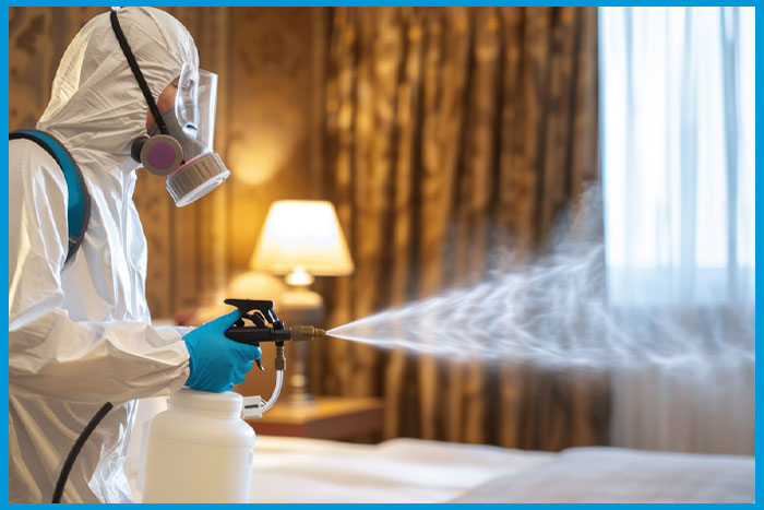 Spécialiste en désinsectisation éliminant les punaises de lit