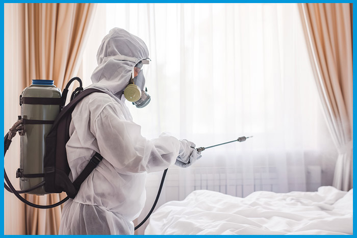 Expert en désinsectisation traitant une infestation de punaises de lit