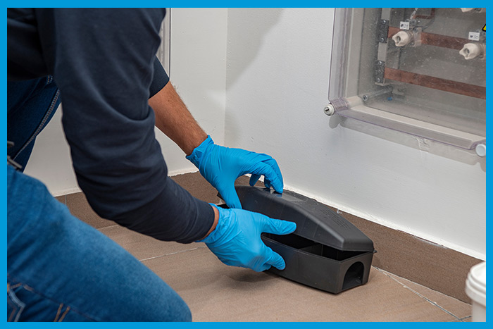 Exterminateur professionnel installant des pièges à rats
