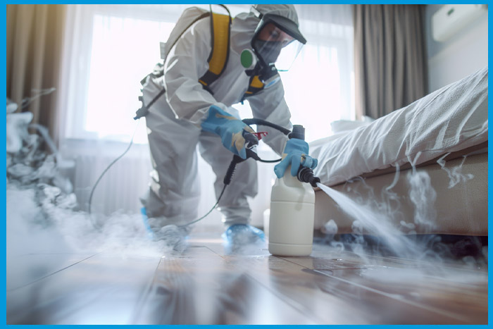 Expert en désinsectisation appliquant un traitement contre les punaises de lit