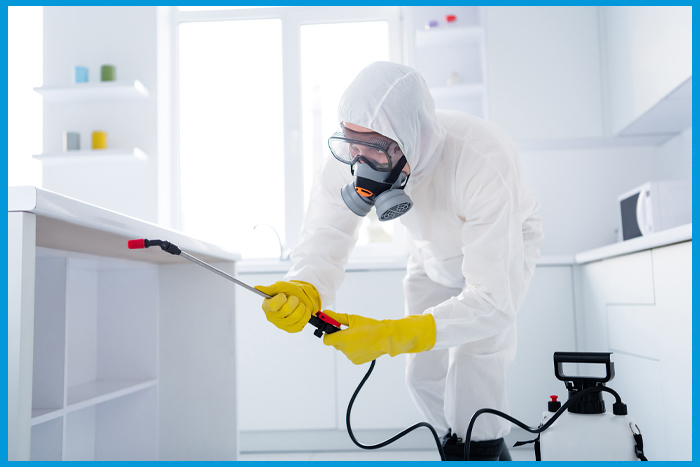 Professionnel de la désinsectisation traitant une infestation de punaises de lit