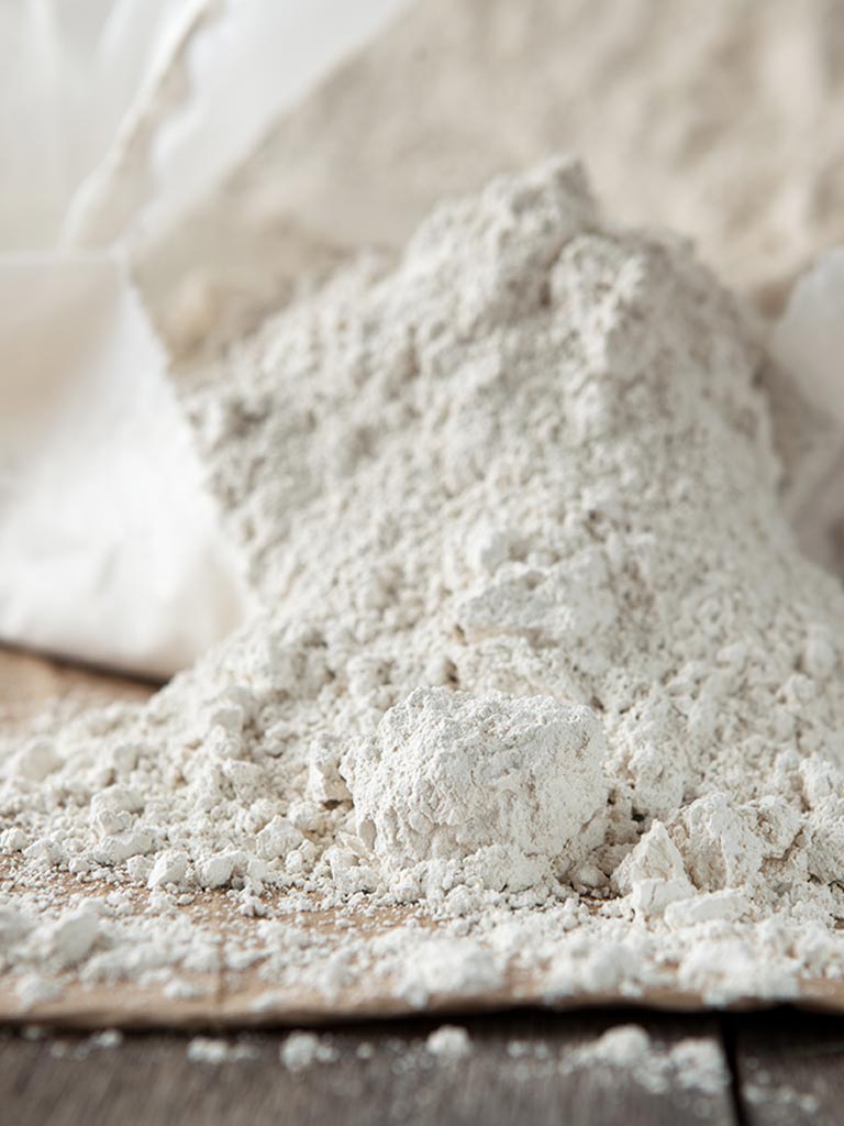 Remede naturel contre les punaises de lit La terre de diatomée