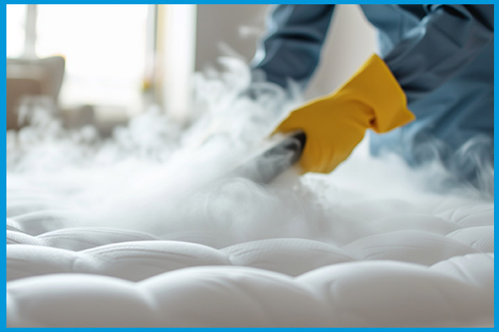 Nettoyeur vapeur utilisé pour traiter les zones infestées de punaises de lit
