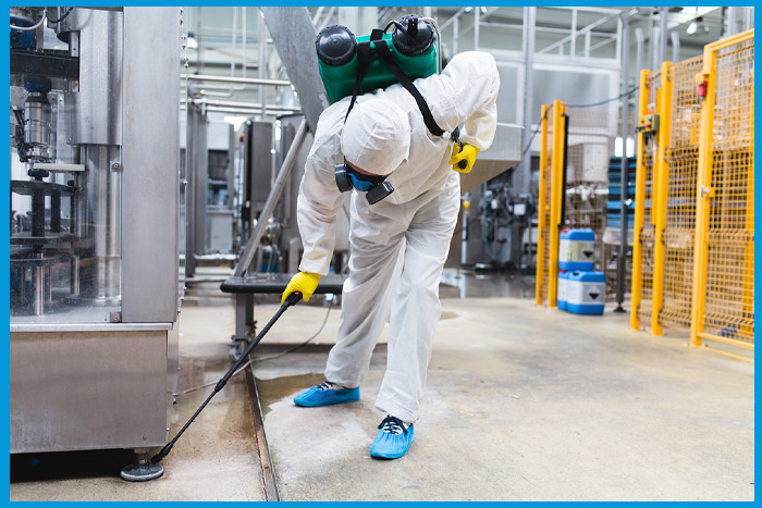 Exterminateur en action pour traiter les punaises de lit dans un espace professionnel