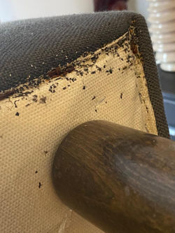 Punaises de lit dans les pieds de lit