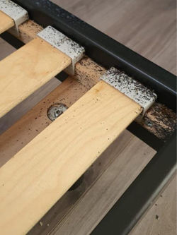 Punaise de lit dans les lattes du sommier