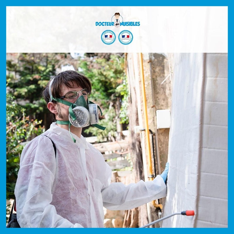 Traitement chimique punaise de lit, combien de passages sont nécessaires ?