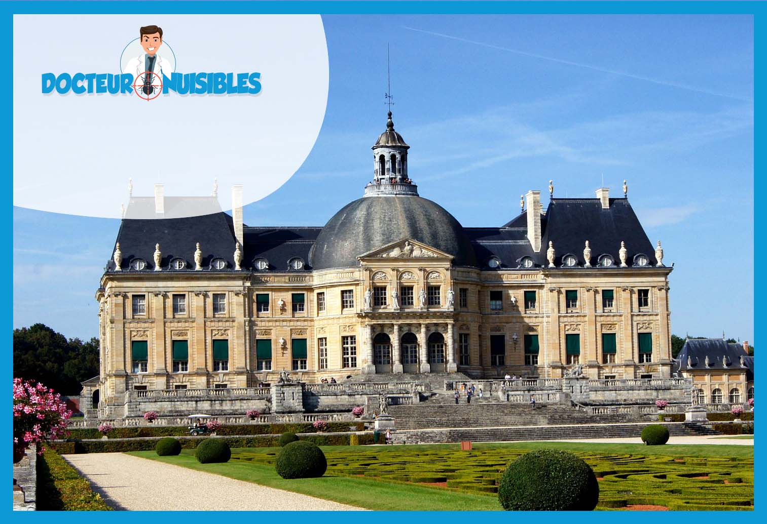 Dératisation en Essonne