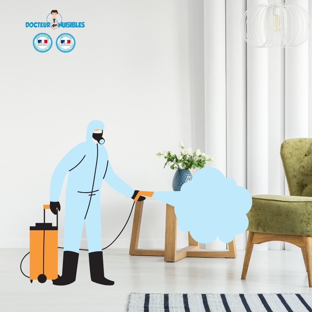 Traiter le logement contre les punaises de lit