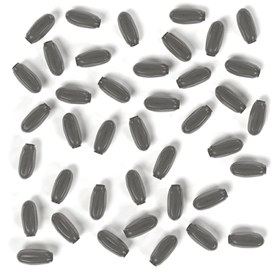 Oeufs de punaise de lit