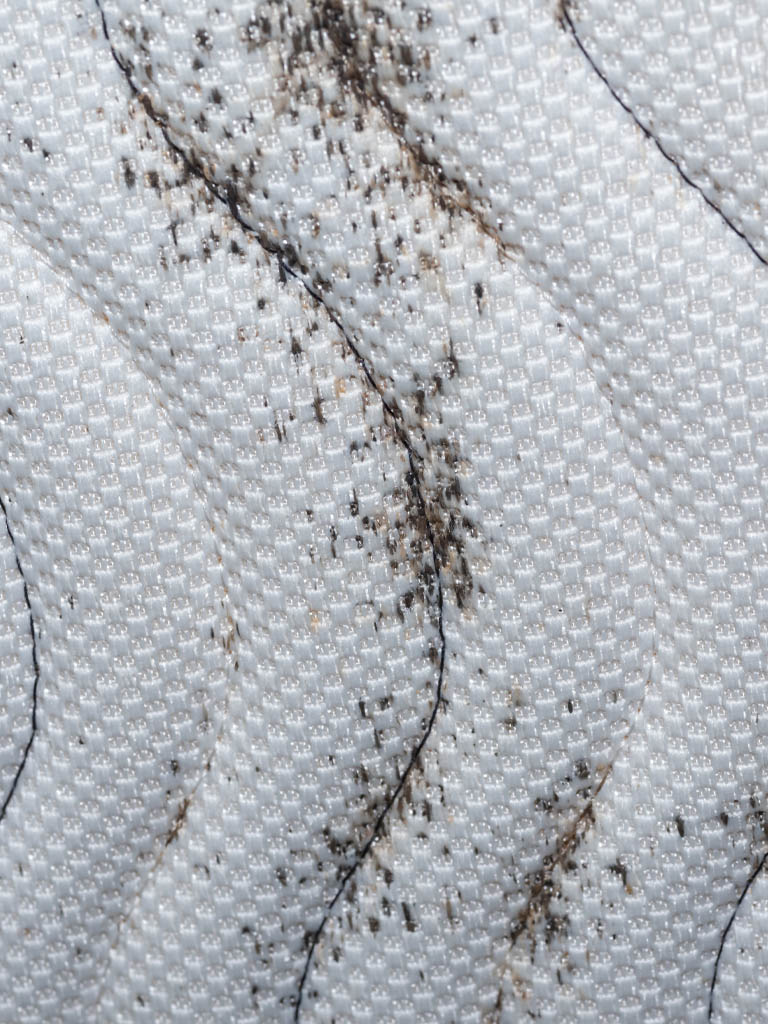 Trace de puces de lit sur matelas