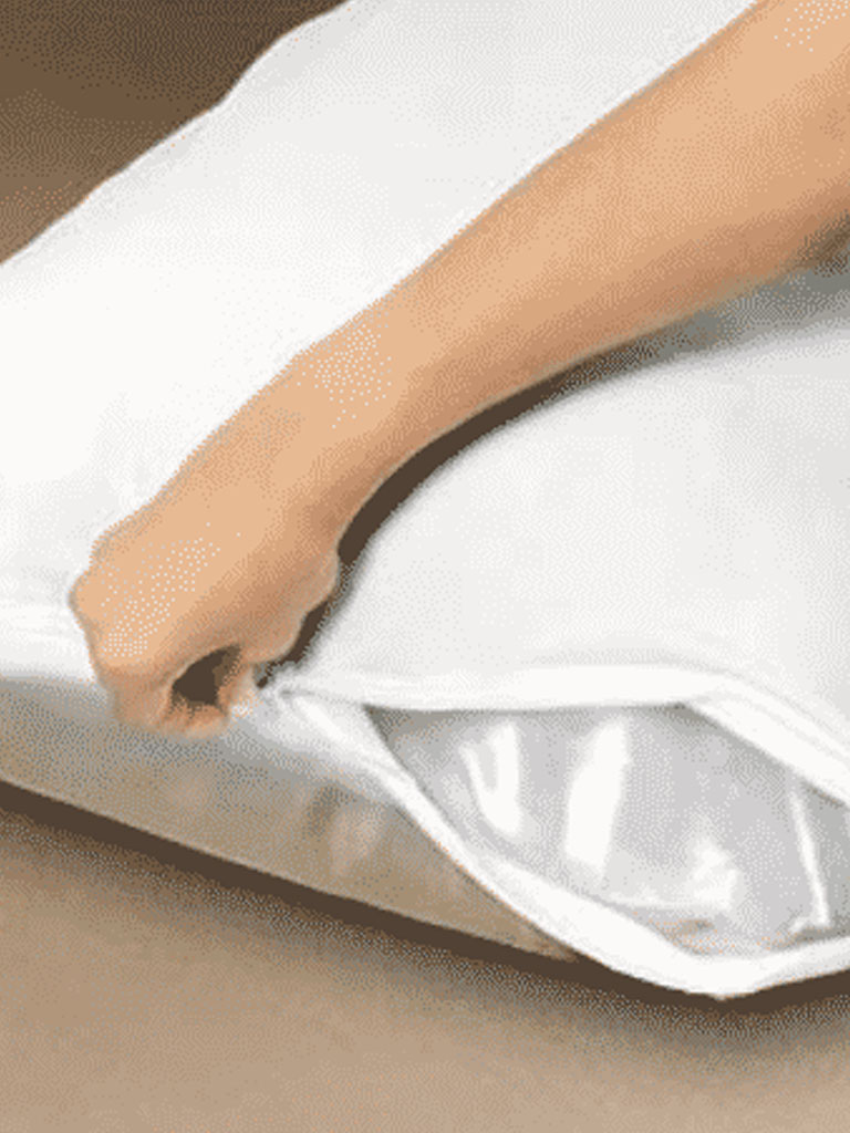 Housse d'oreiller anti puce de lit