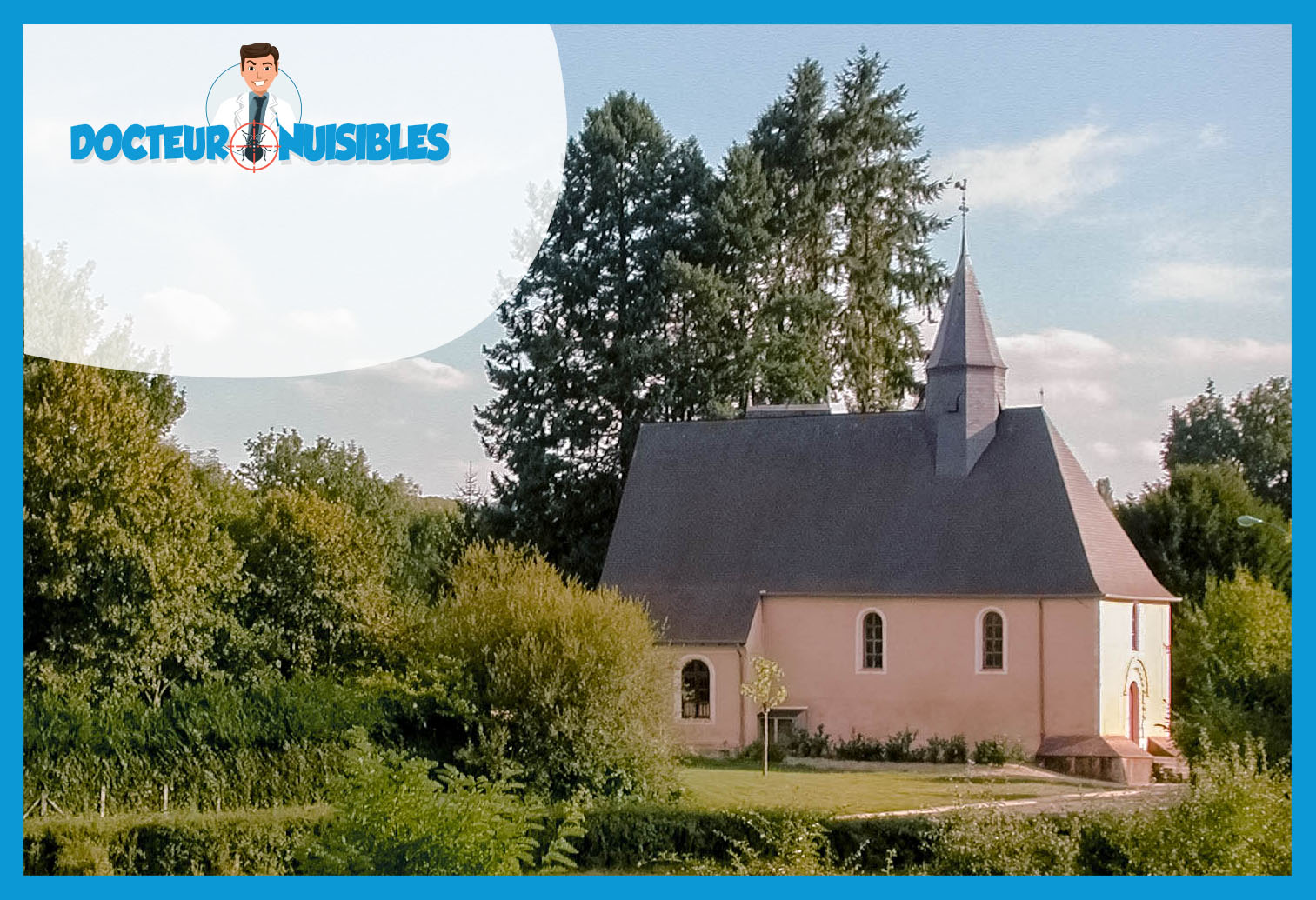 Désinsectisation à Achères