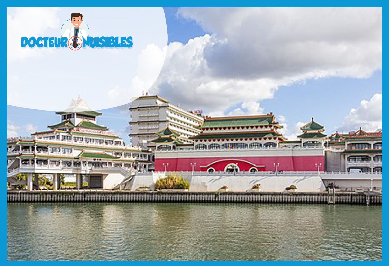 Désinsectisation à Alfortville