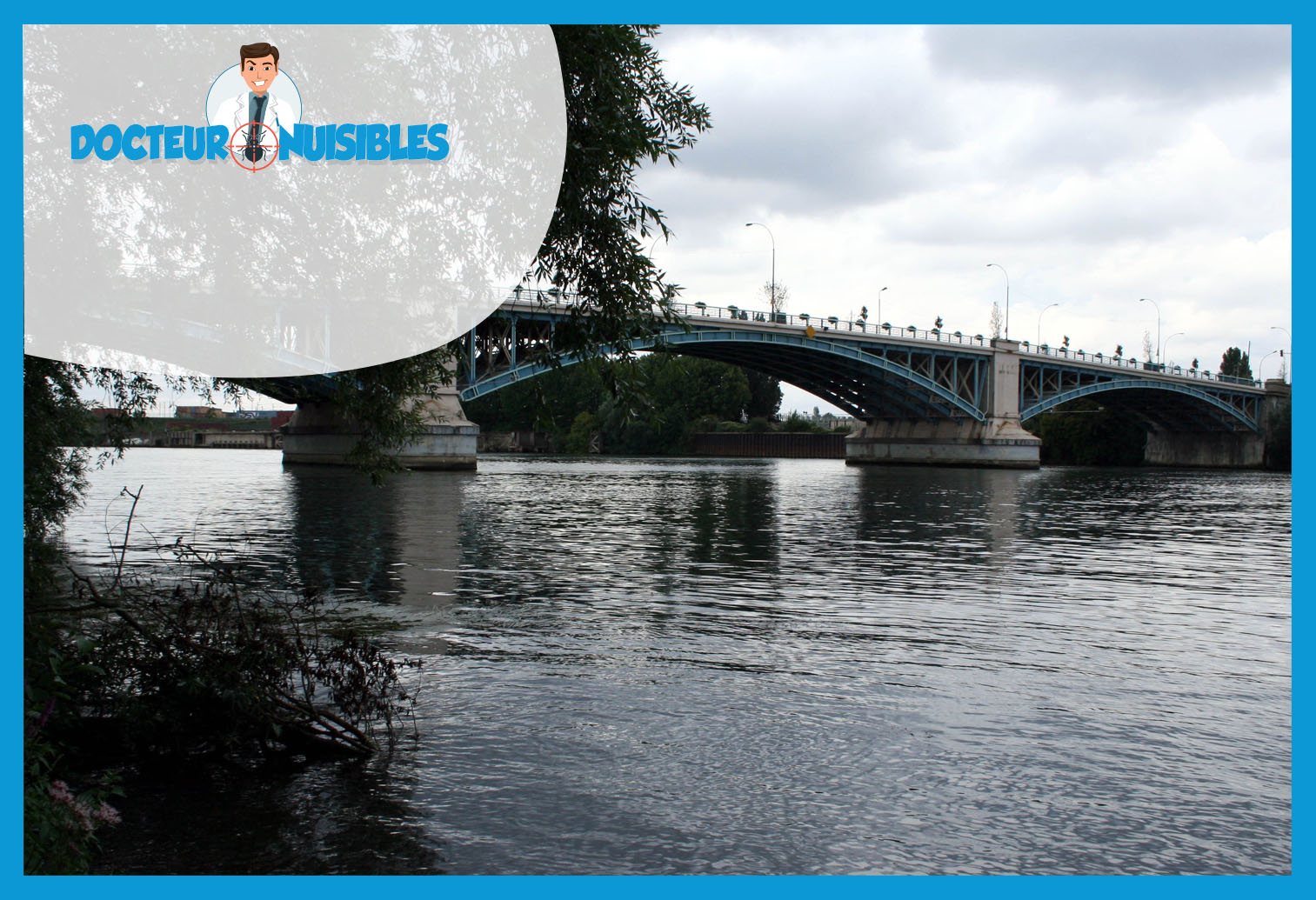 Désinsectisation à Argenteuil