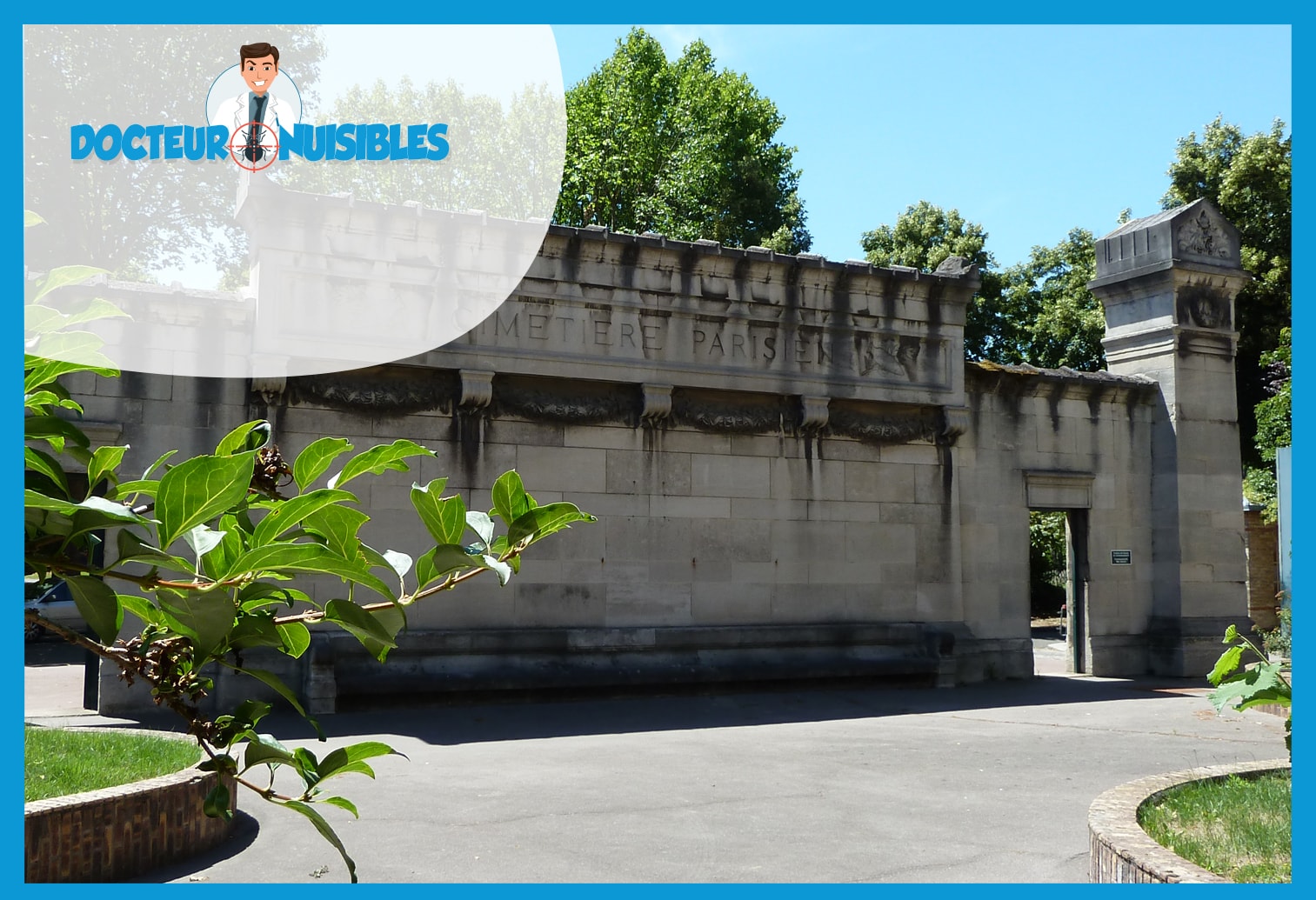 Désinsectisation à Bagneux