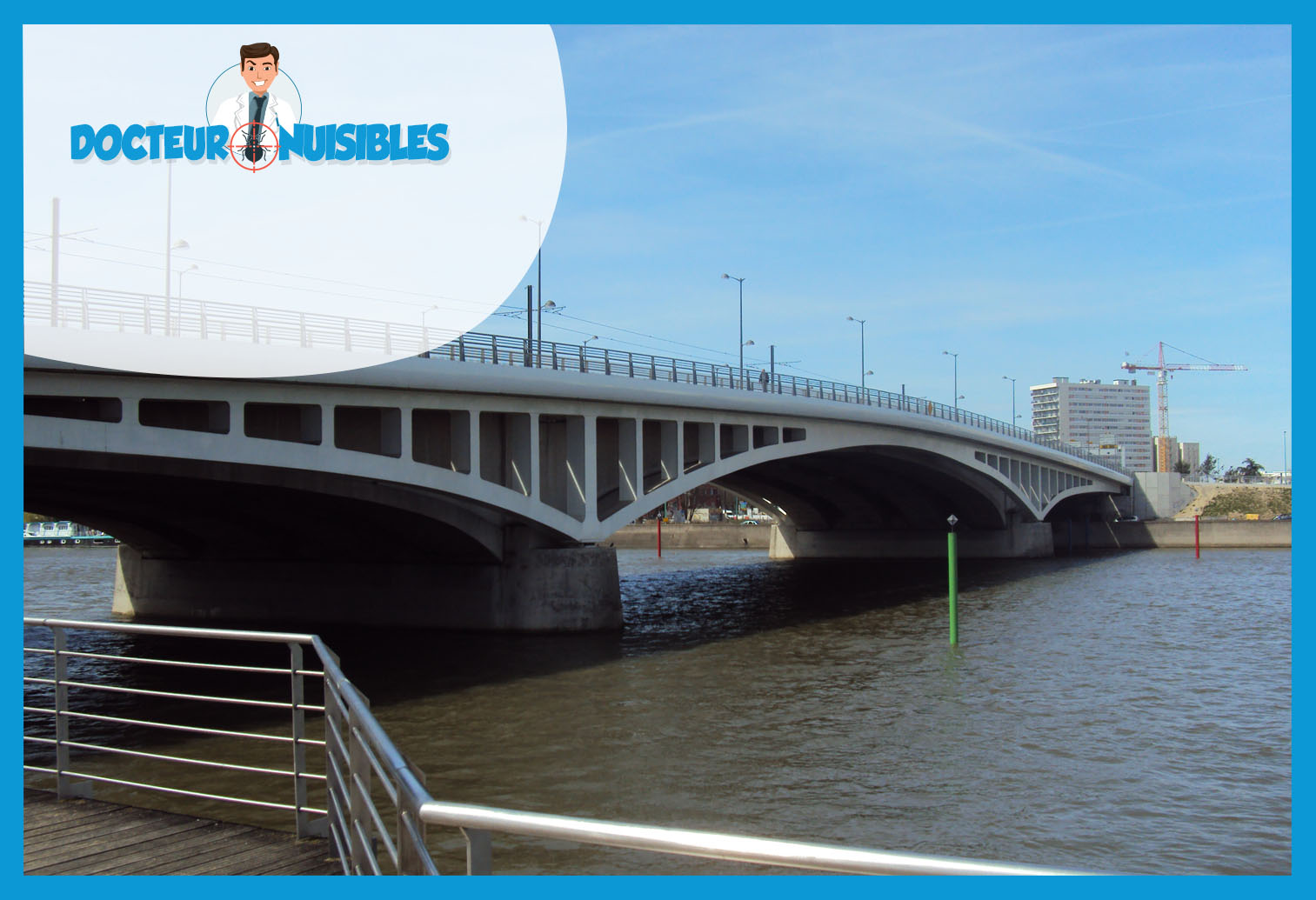 Punaises de lit à Bezons