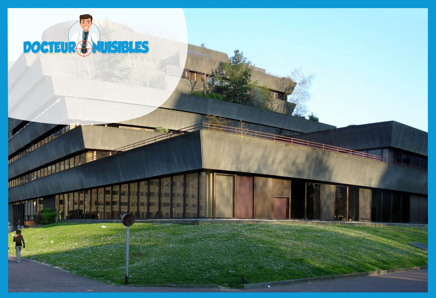 Dératisation à Bobigny