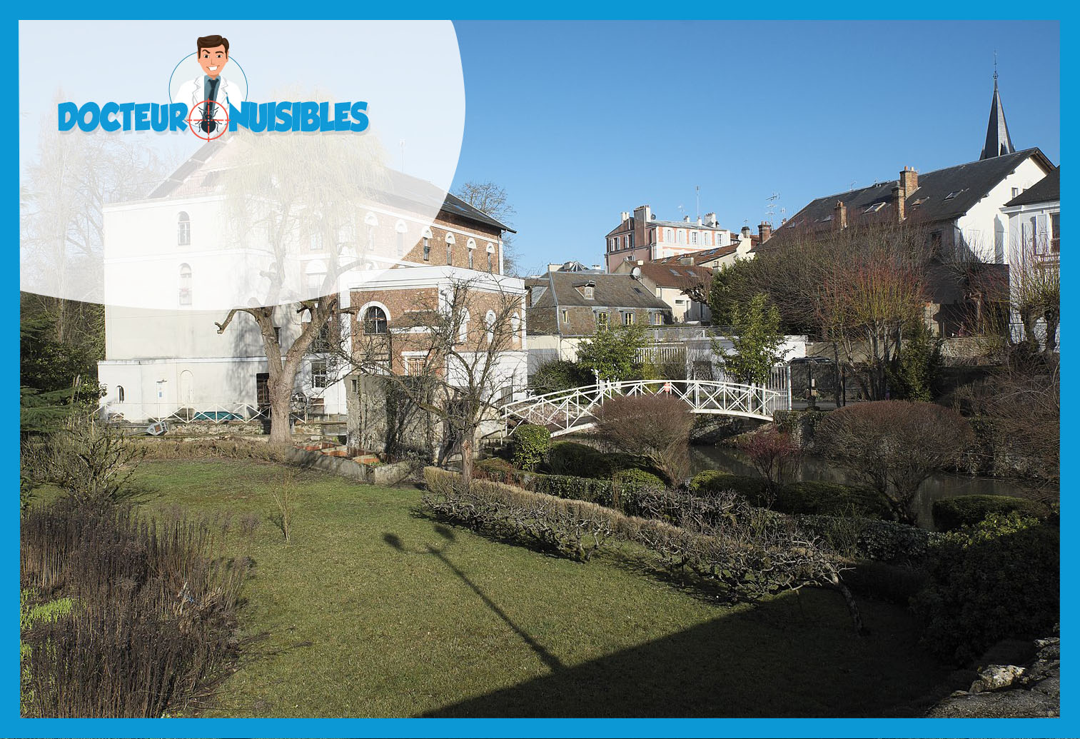 Punaises de lit à Brunoy