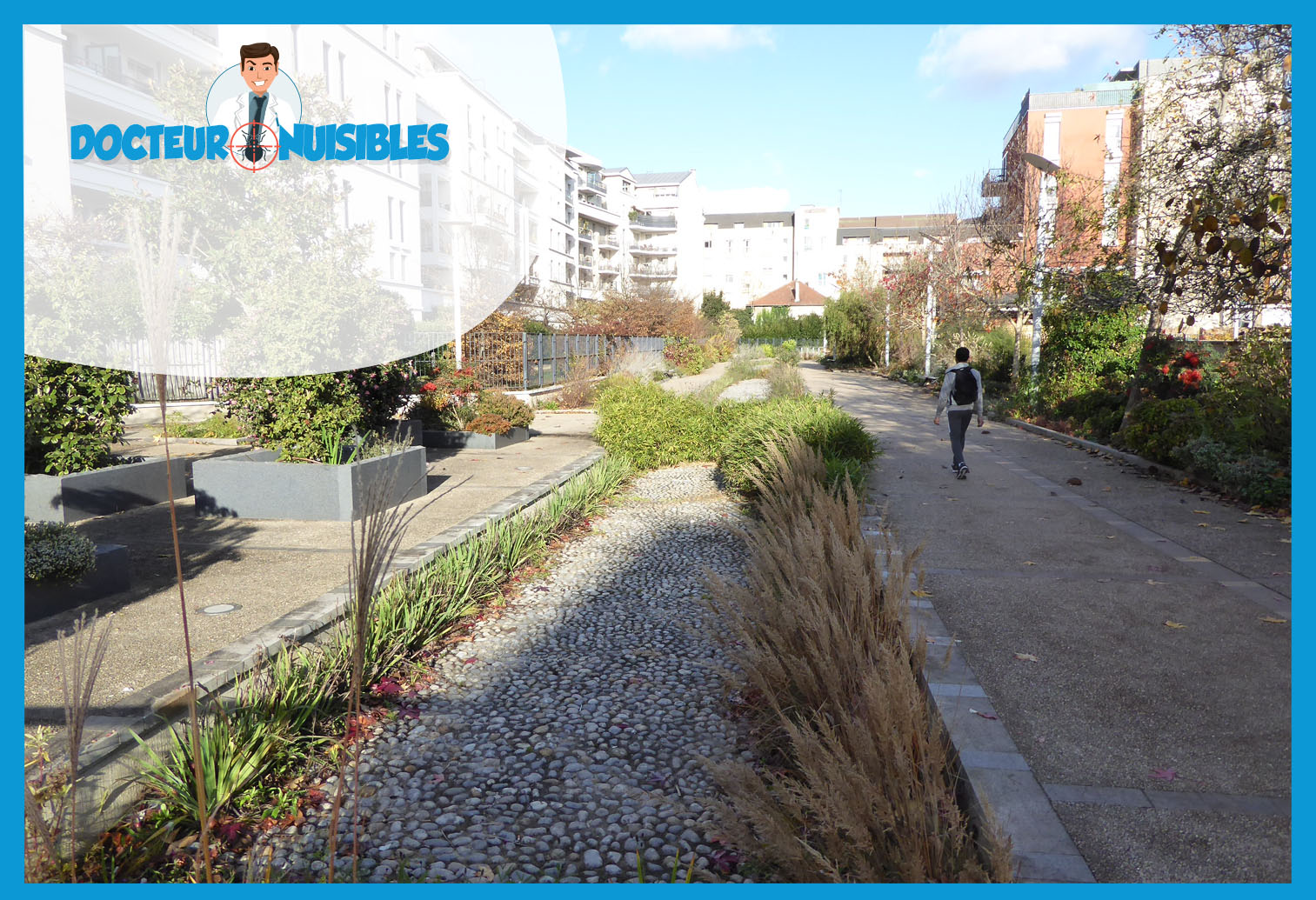 Désinsectisation à Cachan