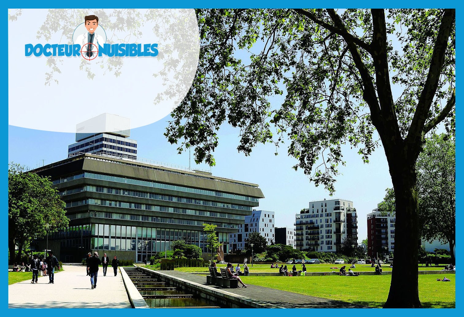 Dératisation à Cergy