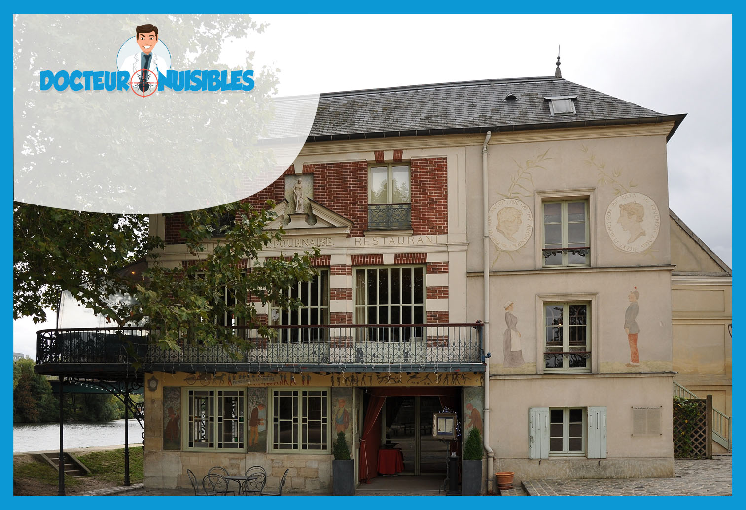 Désinsectisation à Chatou