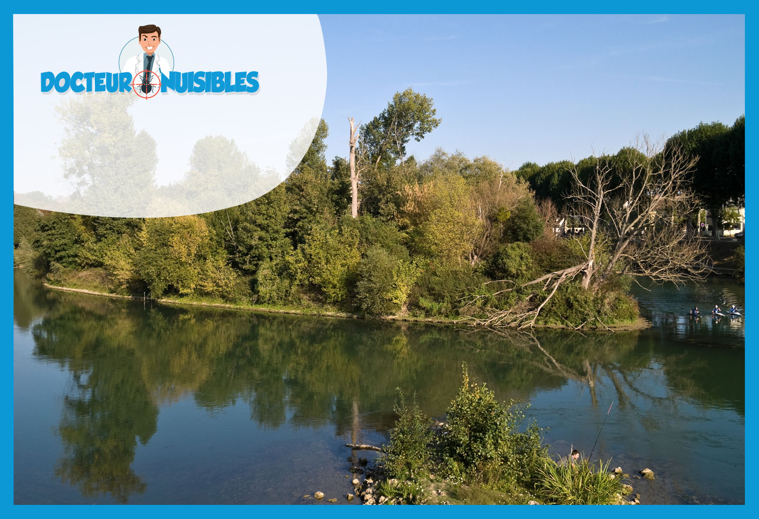 Dératisation à Chelles