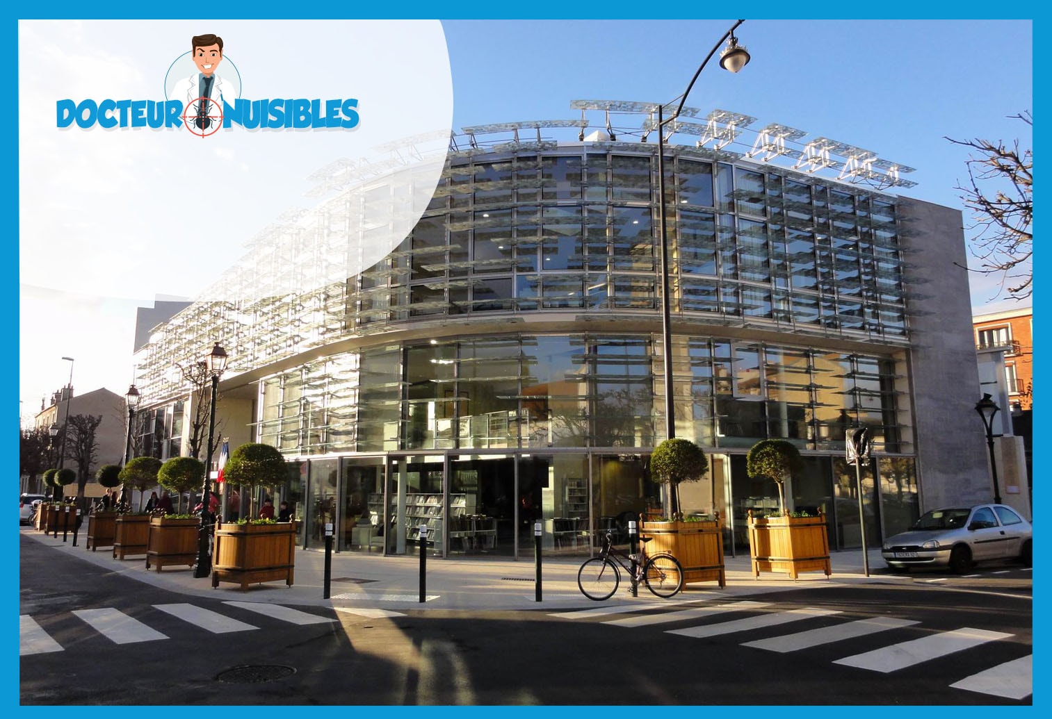 Punaises de lit à Colombes