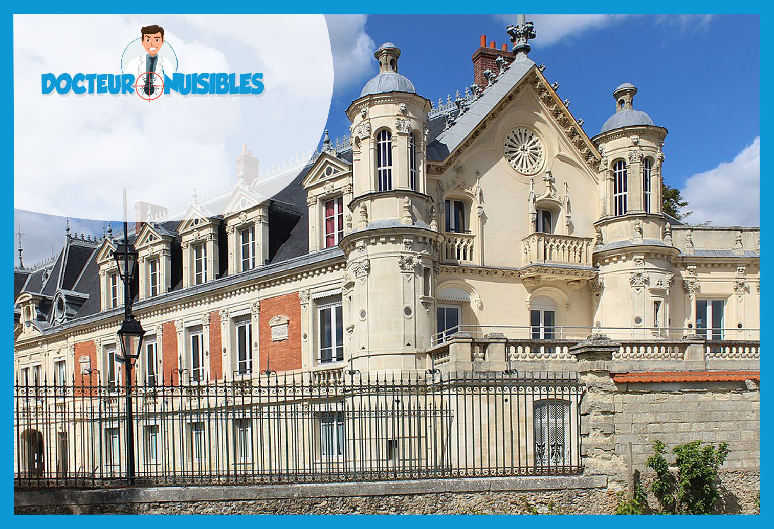 Désinsectisation à Conflans Sainte Honorine