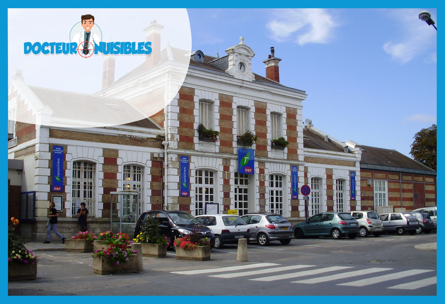 Dératisation à Cormeilles en Parisis