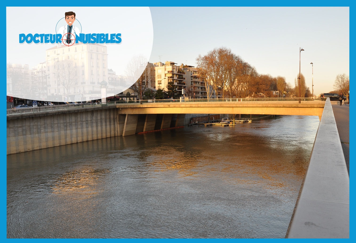 Dératisation à Courbevoie