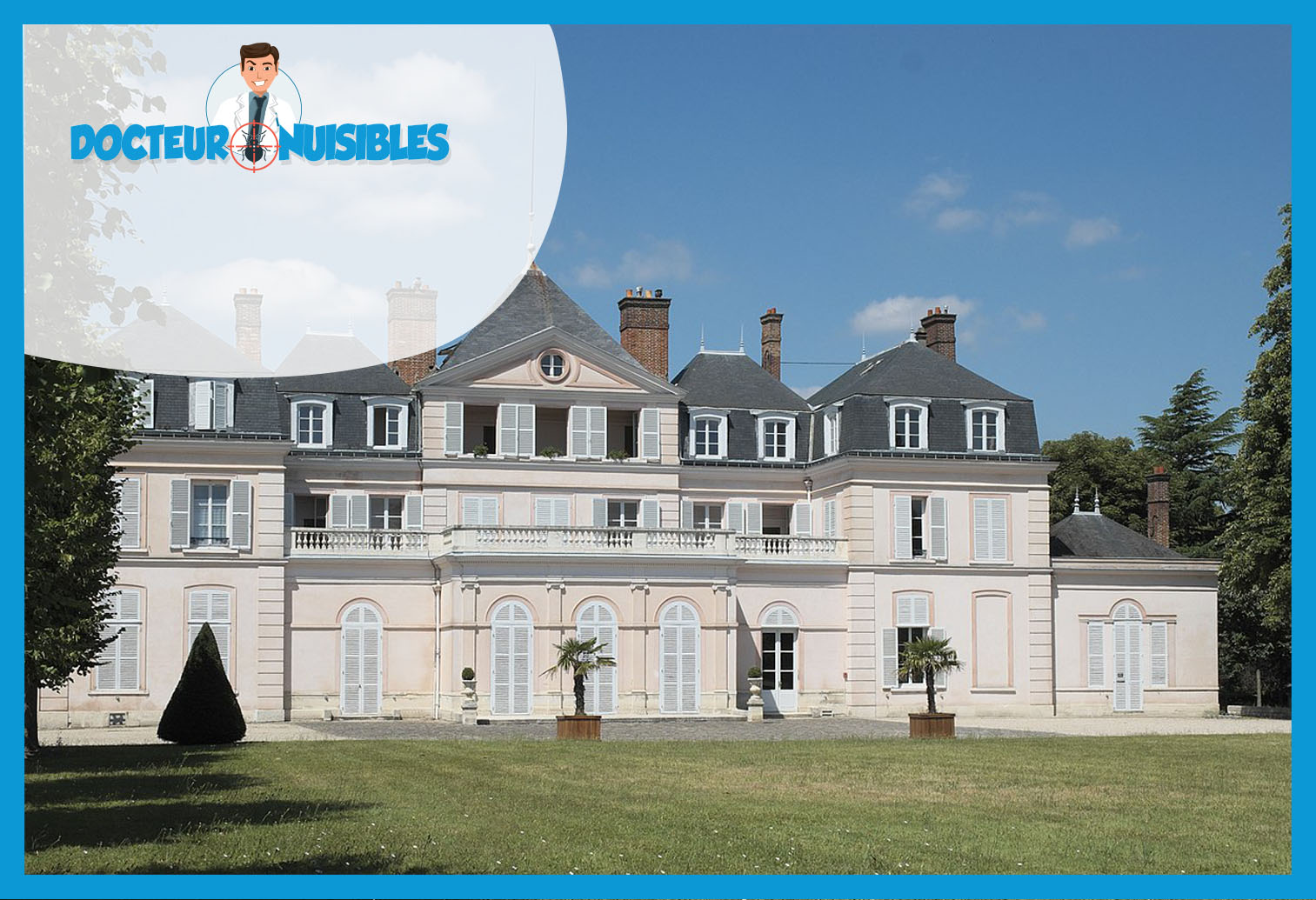 Punaises de lit à Draveil