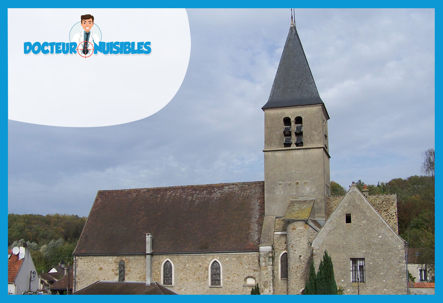 Désinsectisation à Élancourt