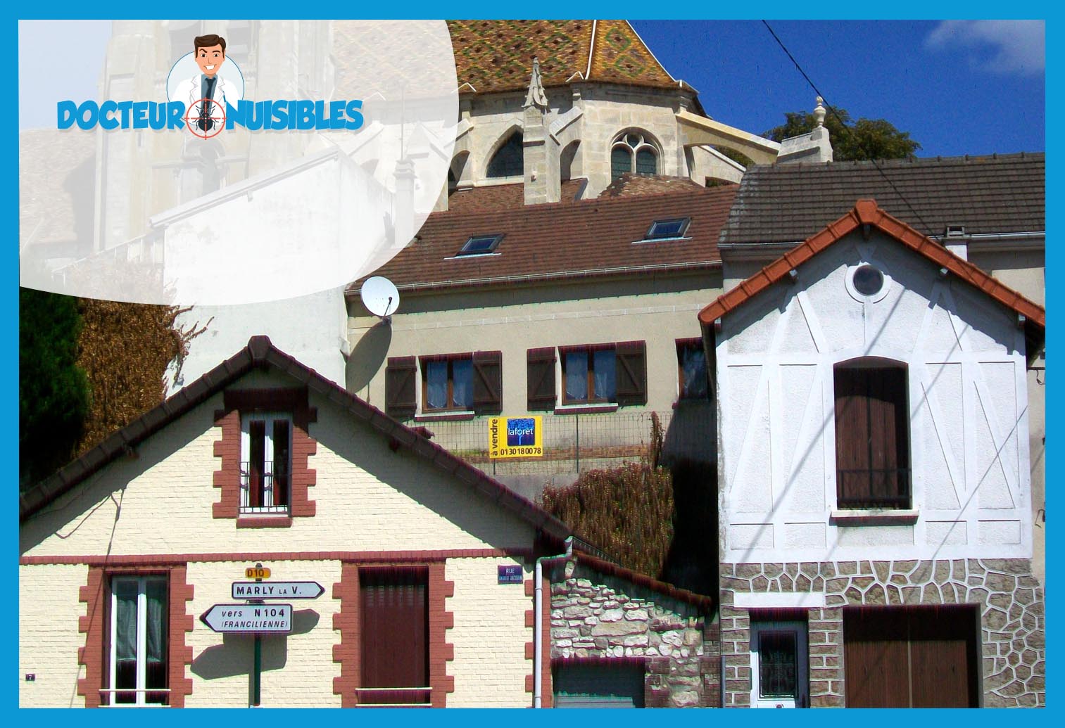 Désinsectisation à Fontenay en Parisis