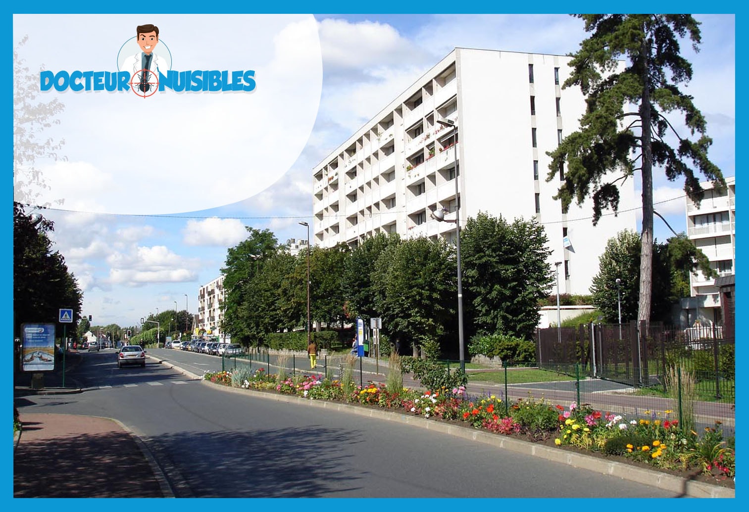 Dératisation à Franconville