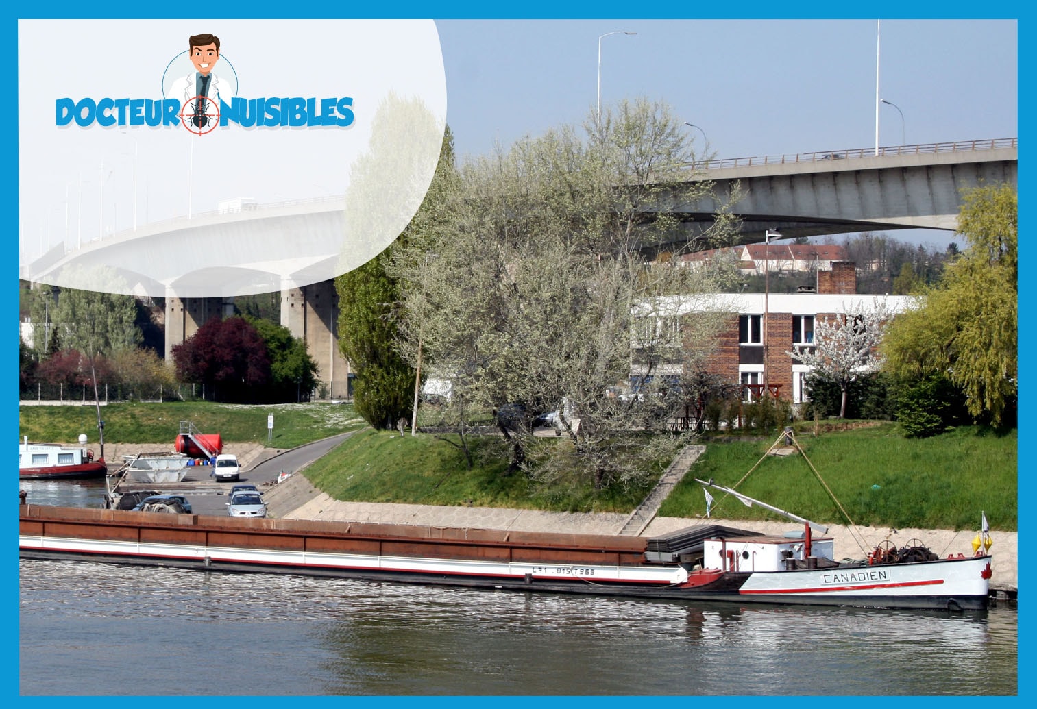 Punaises de lit à Gennevilliers