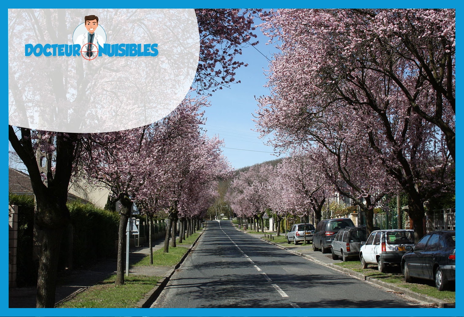 Punaises de lit à Gif sur Yvette