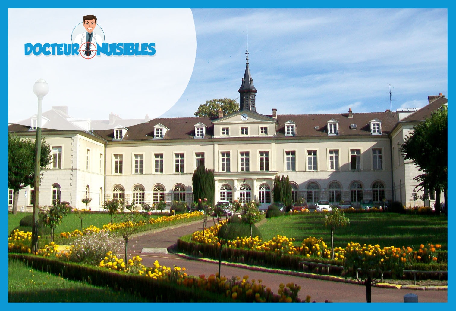 Dératisation à Gonesse