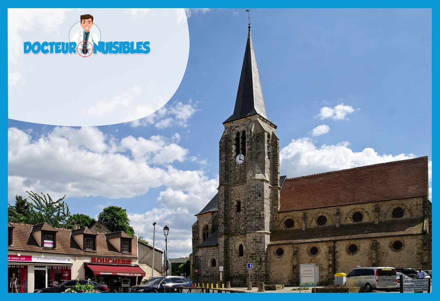 Désinsectisation à Guyancourt