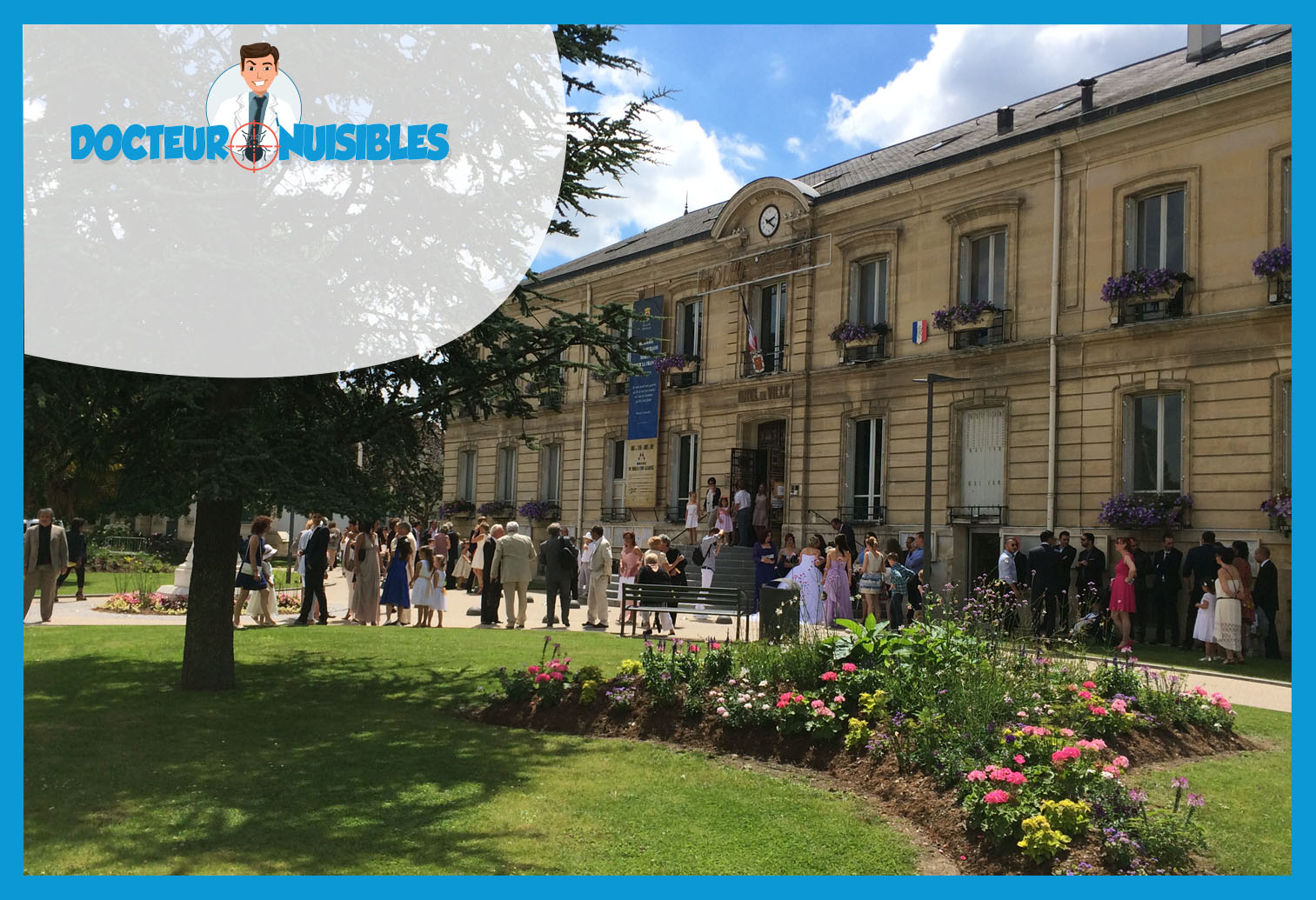 Désinsectisation à Houilles