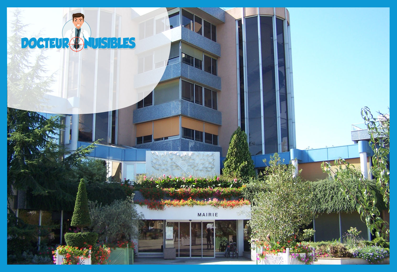 Désinsectisation à Le Chesnay