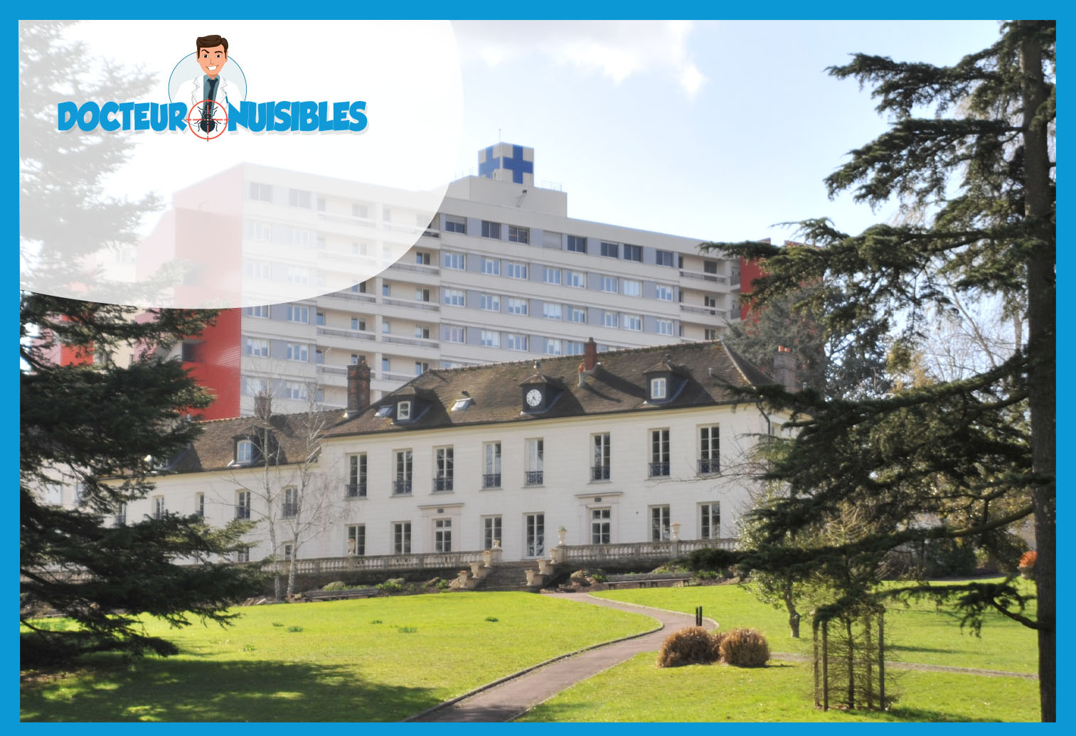 Punaises de lit à Longjumeau