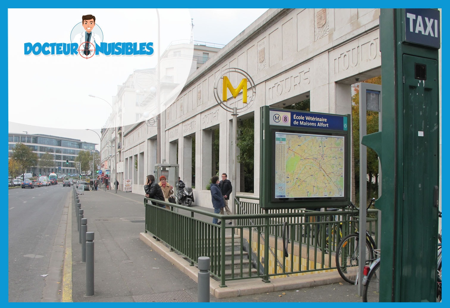 Désinsectisation à Maisons Alfort
