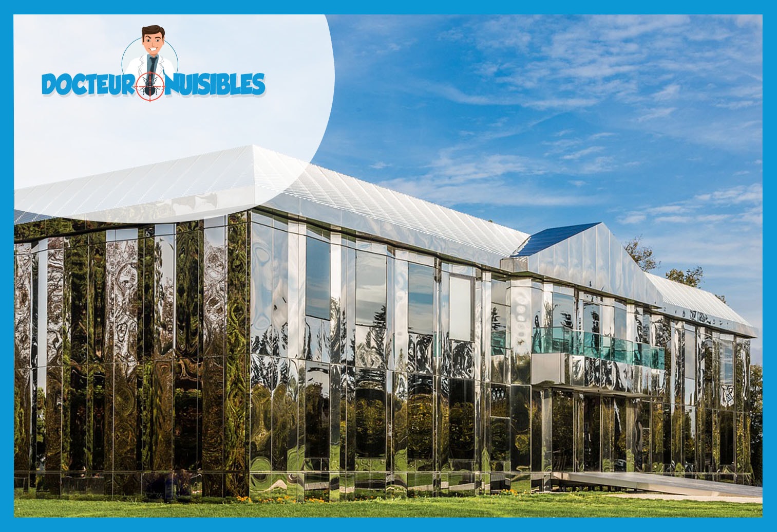 Dératisation à Meaux