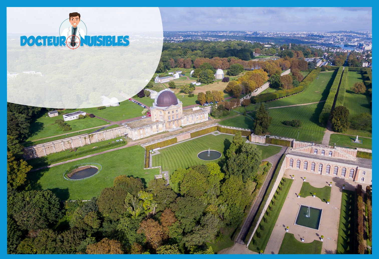 Punaises de lit à Meudon